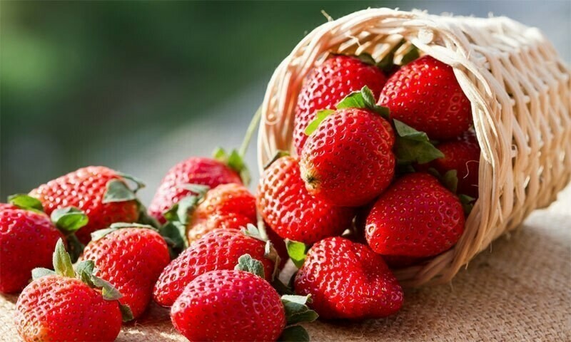 Strawberries plays vital in mental and emotional well being