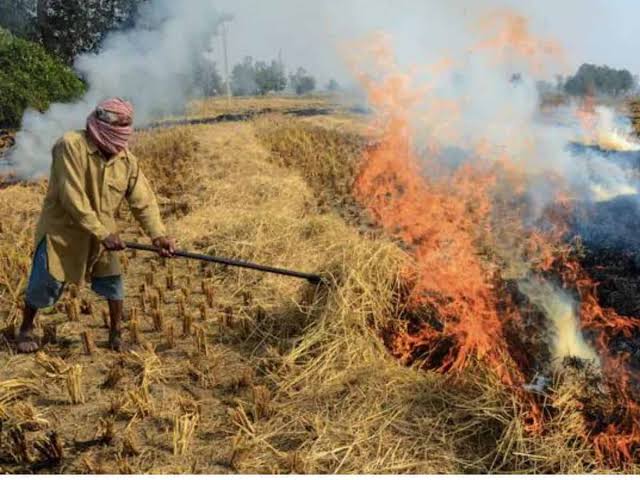 Rice straw Burning is contributing in Smog