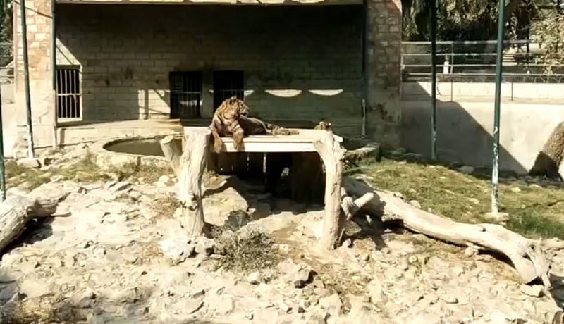 Bahawalpur Zoo Punjab