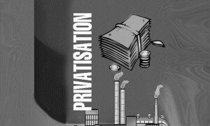 Privatization of National Institutions